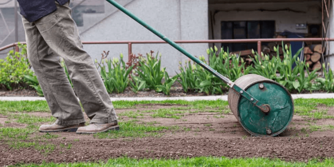 Un nouveau départ pour votre jardin : les bienfaits d’un grand nettoyage de terrain